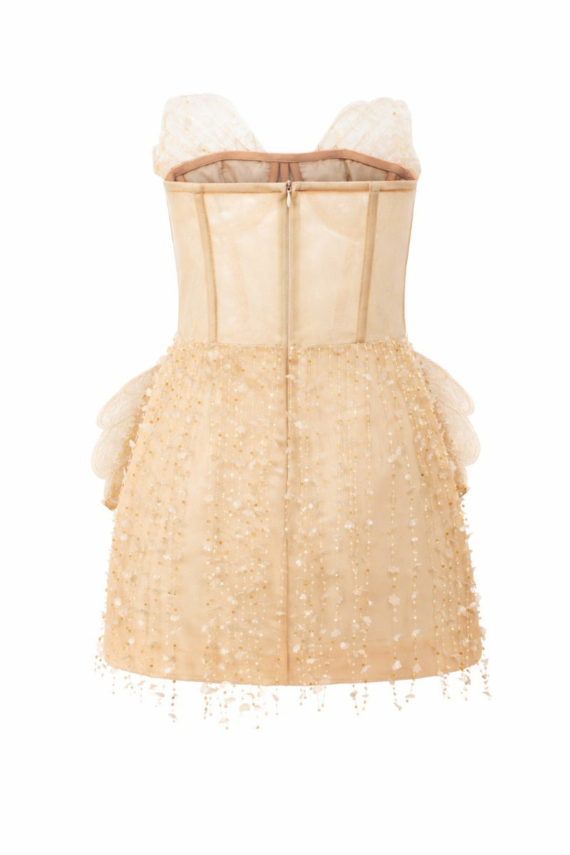 Beige Sabrina lace and tulle mini dress by 21Six, featuring intricate lace details and a flowing tulle skirt.