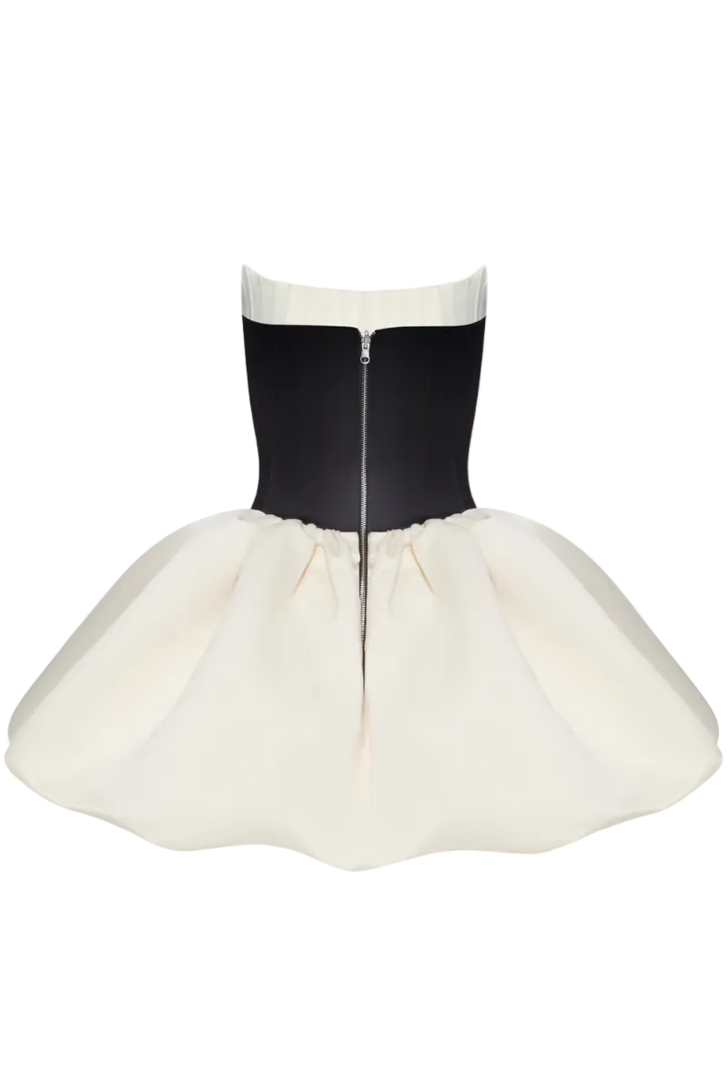 Violet two-sided mini dress by BALYKINA shown in the image, featuring a stylish two-tone design and fitted silhouette.