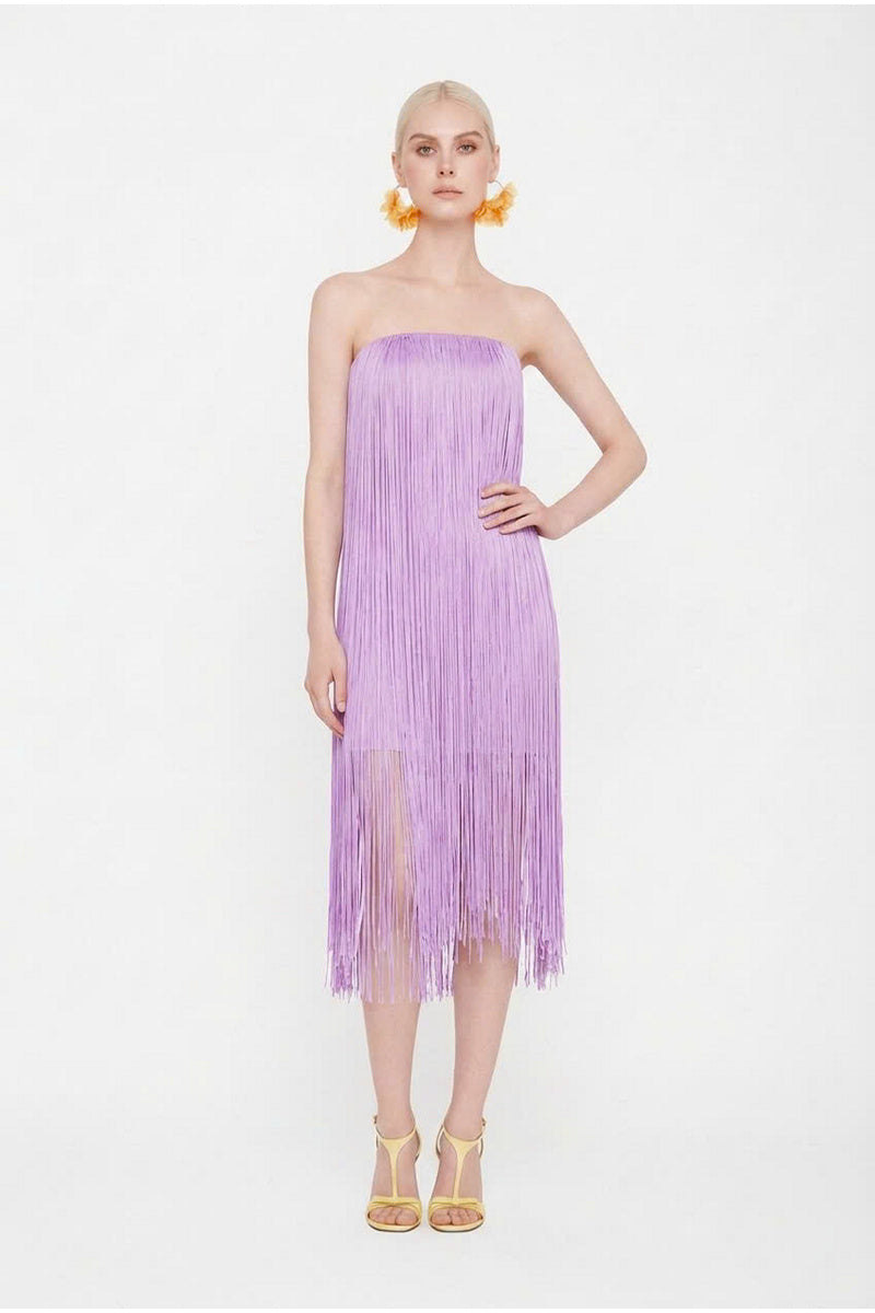 Valenciani lilac fringe midi dress with all-over fringe detailing, flowing silhouette, and sleeveless design.