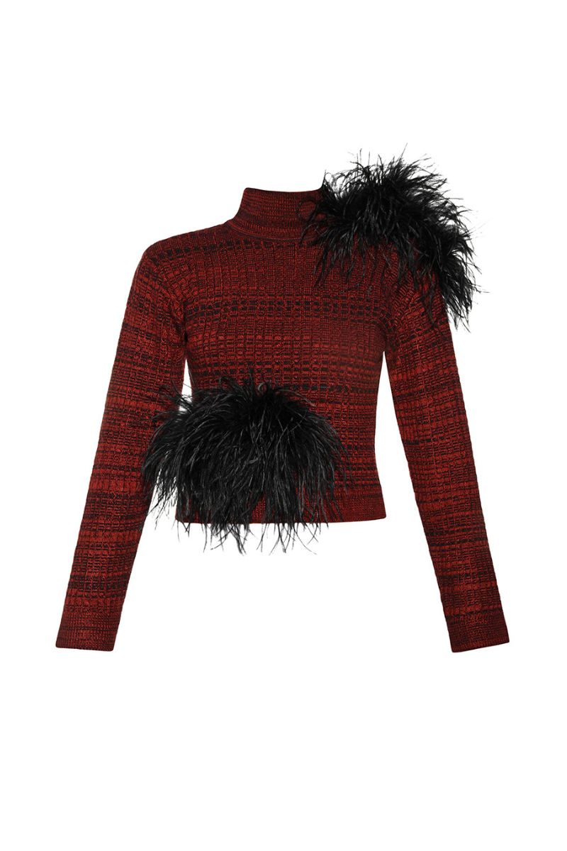 Lalo high neck sweater with multicolored feather details, featuring a cozy, stylish design and soft knit fabric.