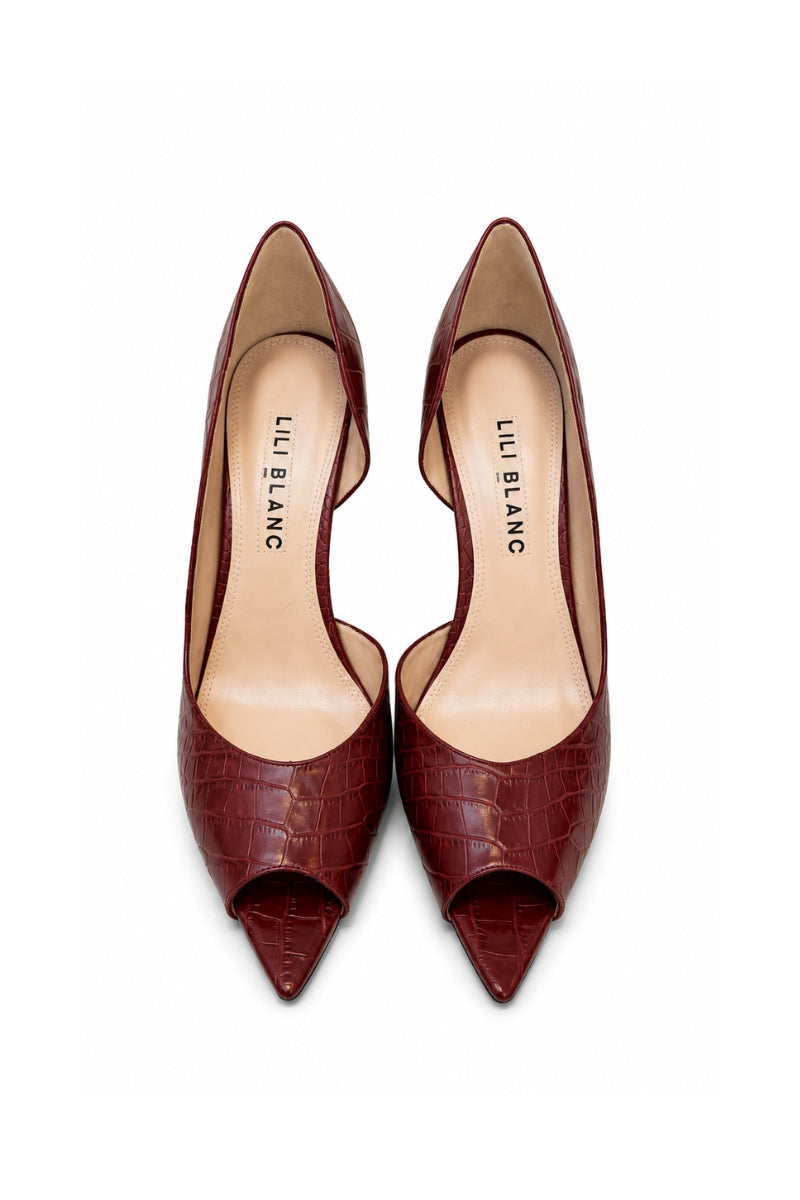 Lili Blanc Merlot heel shoes with pointed toe and stiletto heel, stylish black heels for elegant occasions