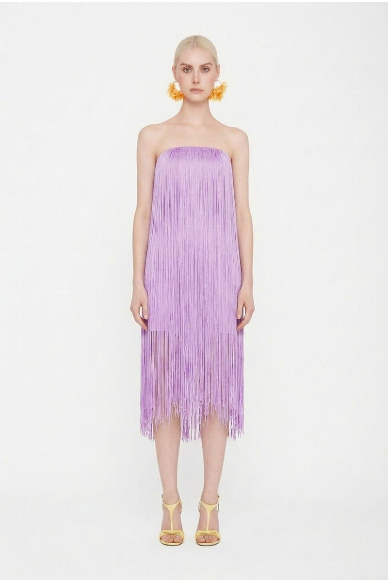 Lilac Valenciani fringe midi dress with all-over fringe detailing and flowing silhouette, perfect for stylish evening wear.