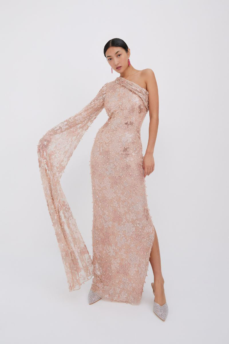 Raishma Abbey Gown displayed on a hanger, featuring elegant fabric and detailed design in a sophisticated evening gown style.