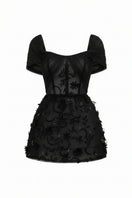 Black Mirabelle tulle dress by 21Six, showcasing a stylish mini dress with delicate tulle fabric and elegant design.