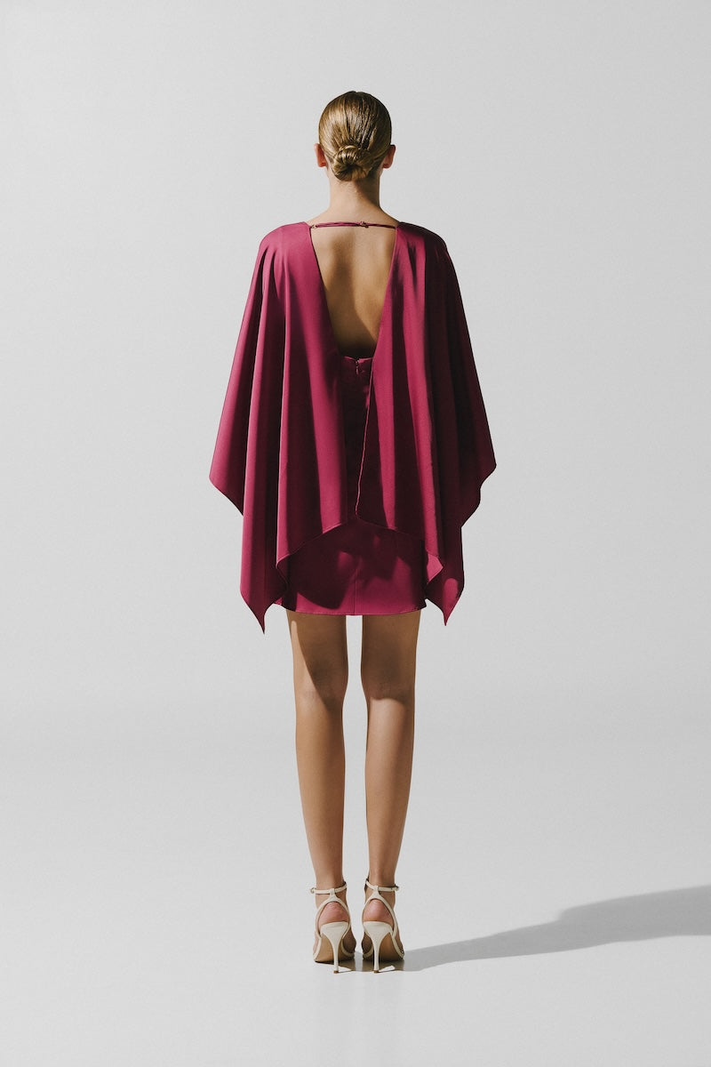 Baobab Pietro Mini Dress in Amarena color, featuring a stylish short dress with a fitted silhouette and sleeveless design.