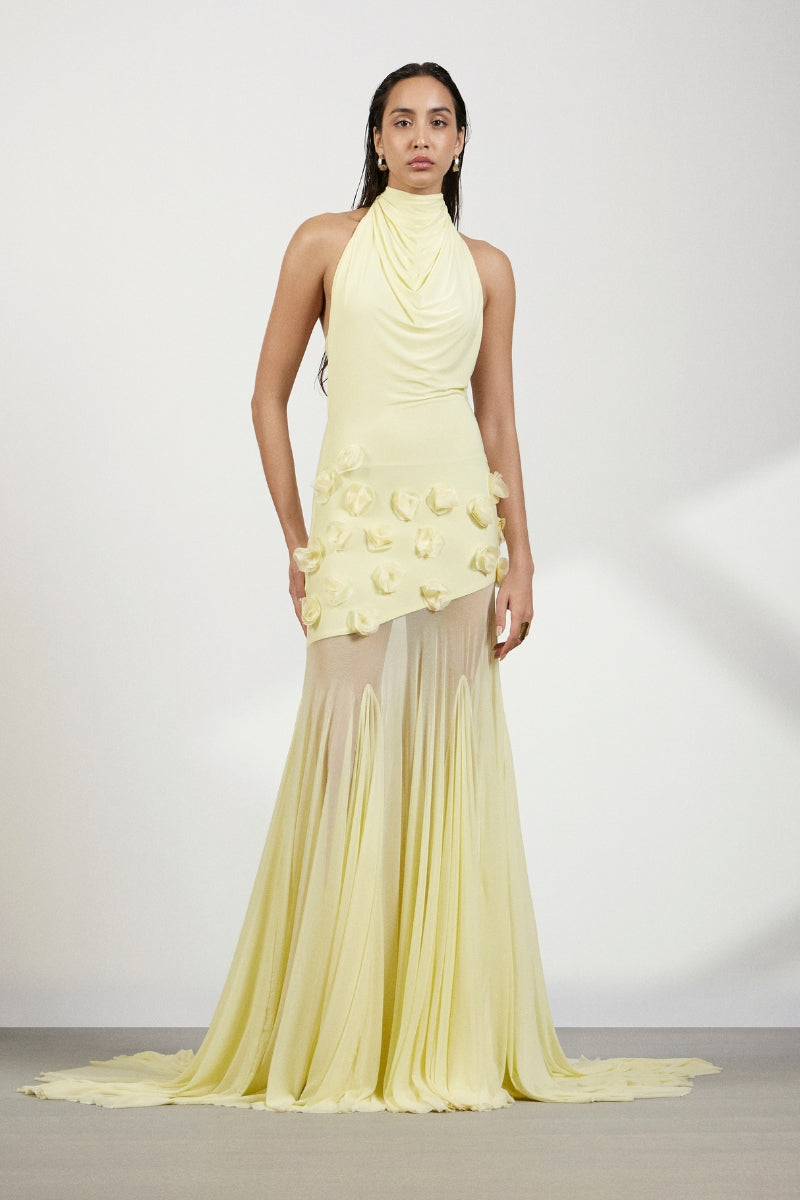Deme By Gabriella Celeste maxi dress featuring a flowing fabric and elegant design, perfect for summer or special occasions.