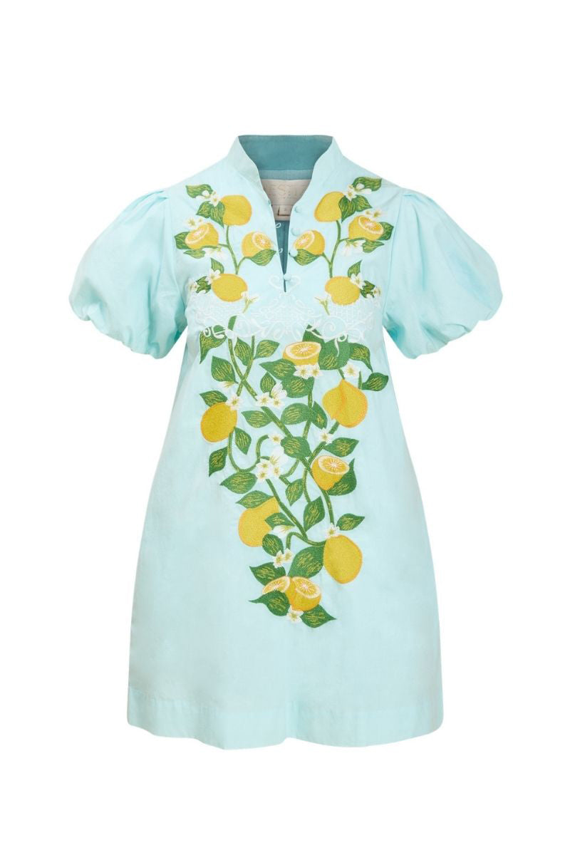 Mestiza New York Ellianna mini dress in Sorrento Citrus with vibrant floral pattern and fitted silhouette.