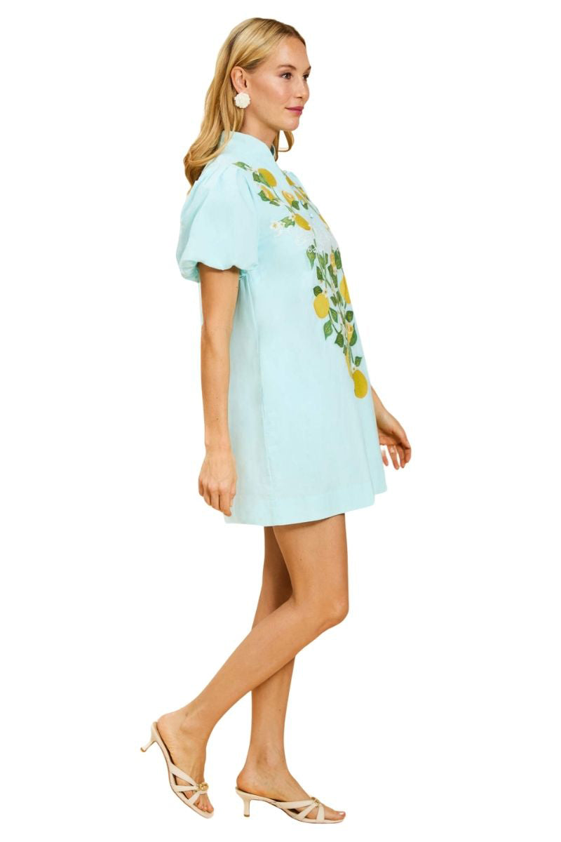 Mestiza New York Ellianna mini dress in Sorrento Citrus with floral print, fitted style, and short sleeves, displayed on a hanger.