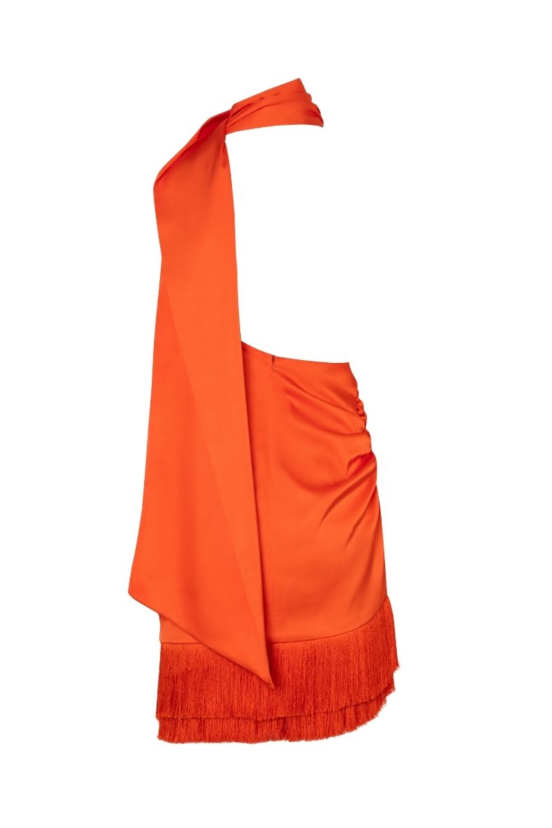 ARI TANGELO MINI DRESS - CULT MIA