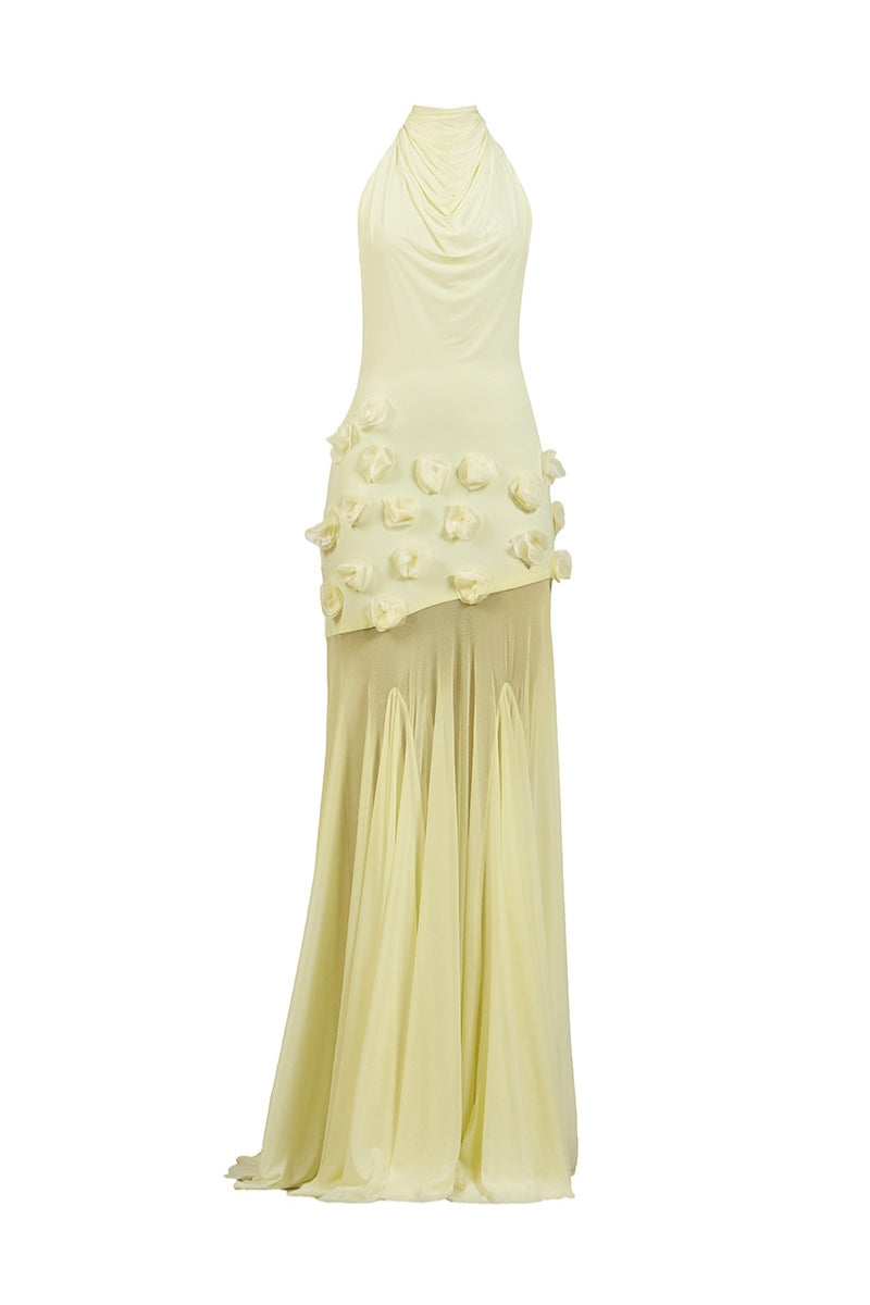 Deme By Gabriella Celeste Maxi Dress in flowing fabric with a vibrant floral pattern, full-length style, and sleeveless design.