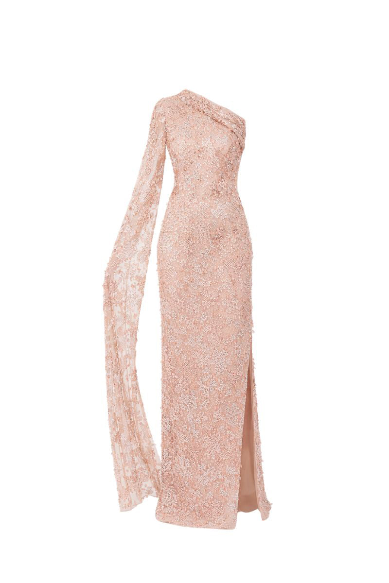 Raishma Abbey gown displayed on a model, featuring elegant design, flowing fabric, and intricate details for formal occasions.