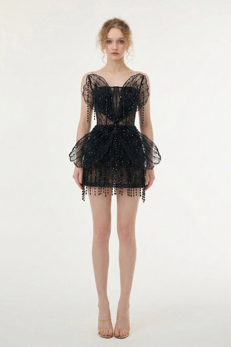 Black Sabrina lace and tulle mini dress by 21Six, featuring delicate lace details and a flowing tulle skirt.