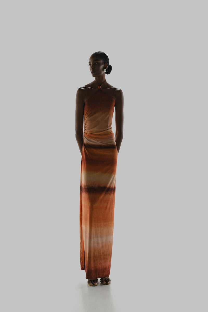 baobab brown dress Baobab Josefina Maxi Dress