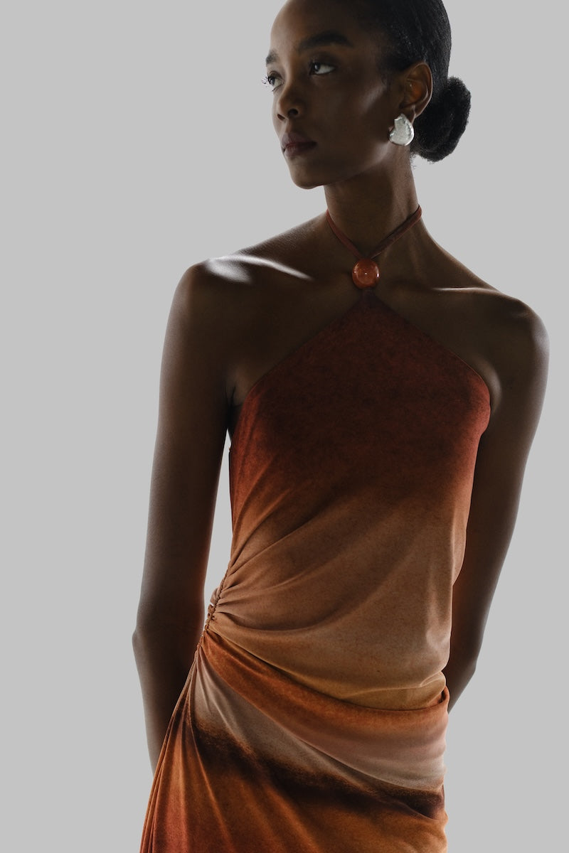 baobab brown dress BAOBAB Donatella Maxi Dress