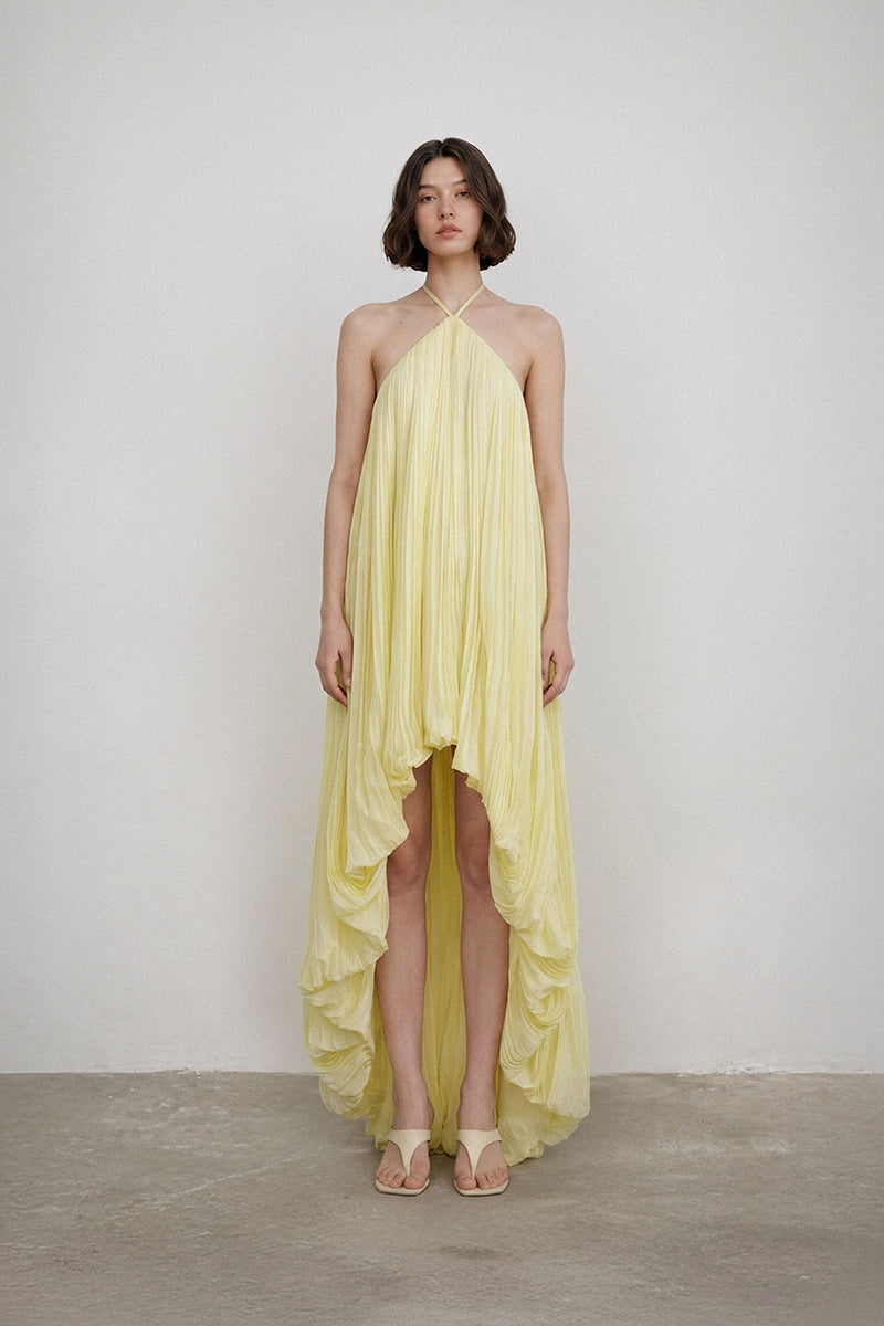 Deme By Gabriella Petunia Maxi Dress with floral print, flowing fabric, and sleeveless design for elegant summer wear.