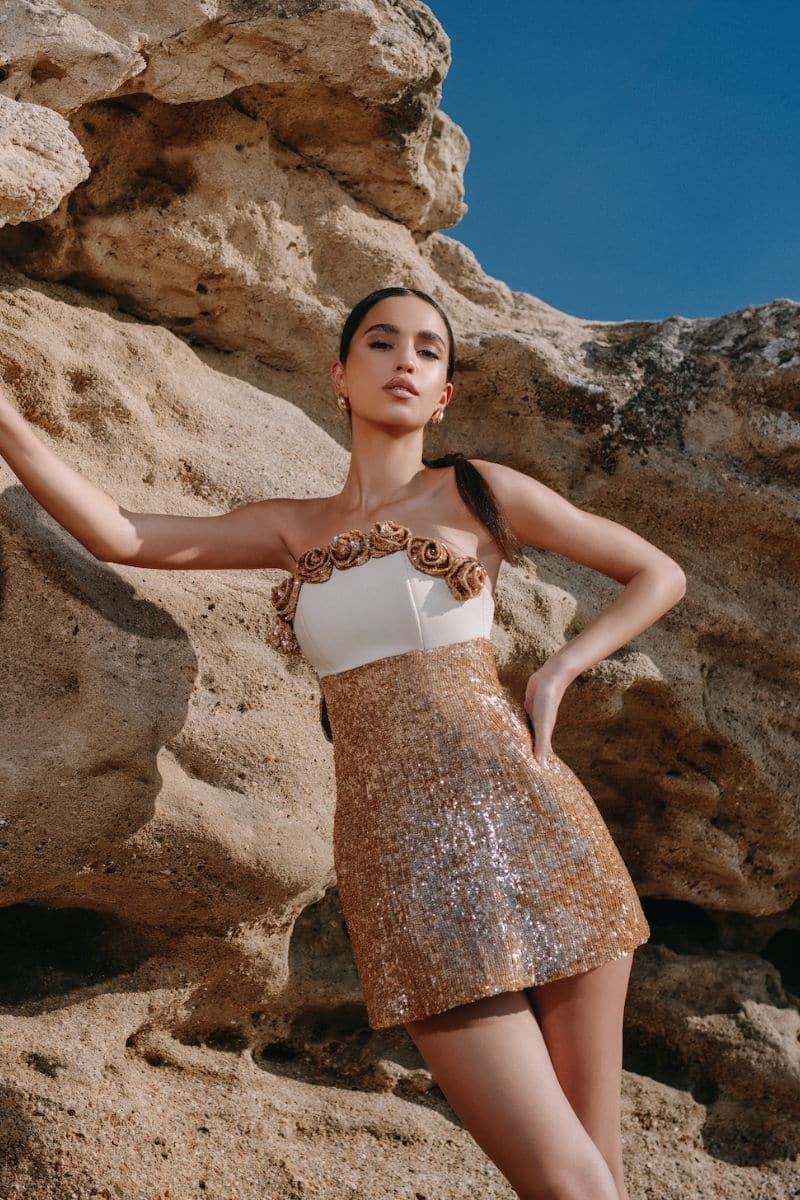 ROSE APPLIQUÉ SEQUINNED MINI DRESS - CULT MIA