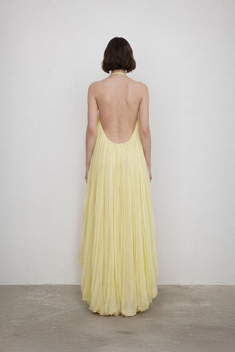 Deme By Gabriella Petunia Maxi Dress featuring a flowing floral design and lightweight fabric, perfect for summer wear.