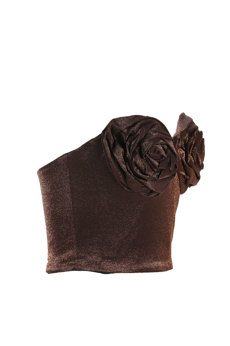 Aauarel Studio Neith Glitter Top in Mirage Brown, stylish brown top with glittery fabric, displayed on a hanger.