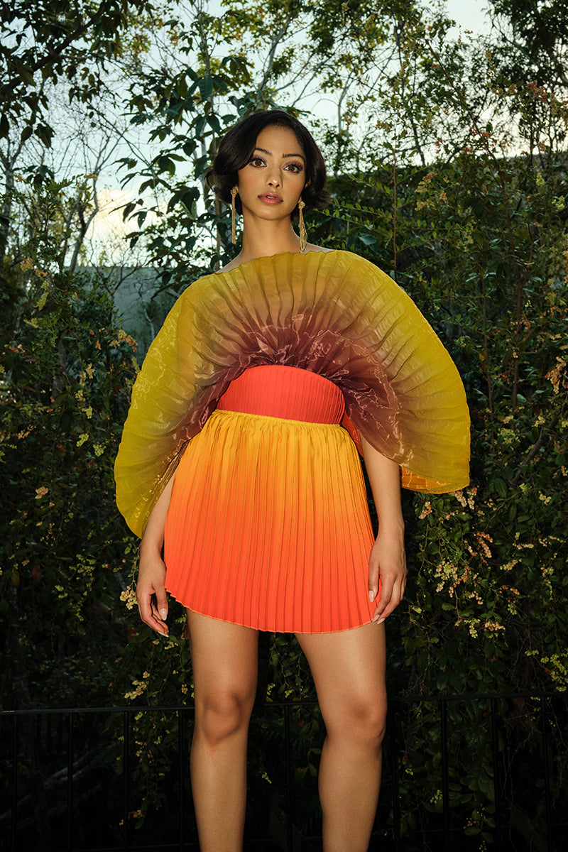 KATA PLEATED MINI SKIRT IN ADWA RED PRINT - CULT MIA