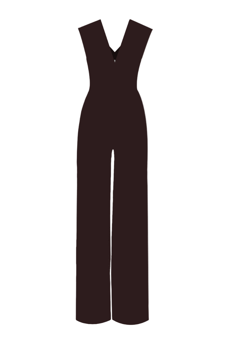 Lili Blanc elegant fitted brown jumpsuit with long sleeves and tailored design, front view showing stylish silhouette.