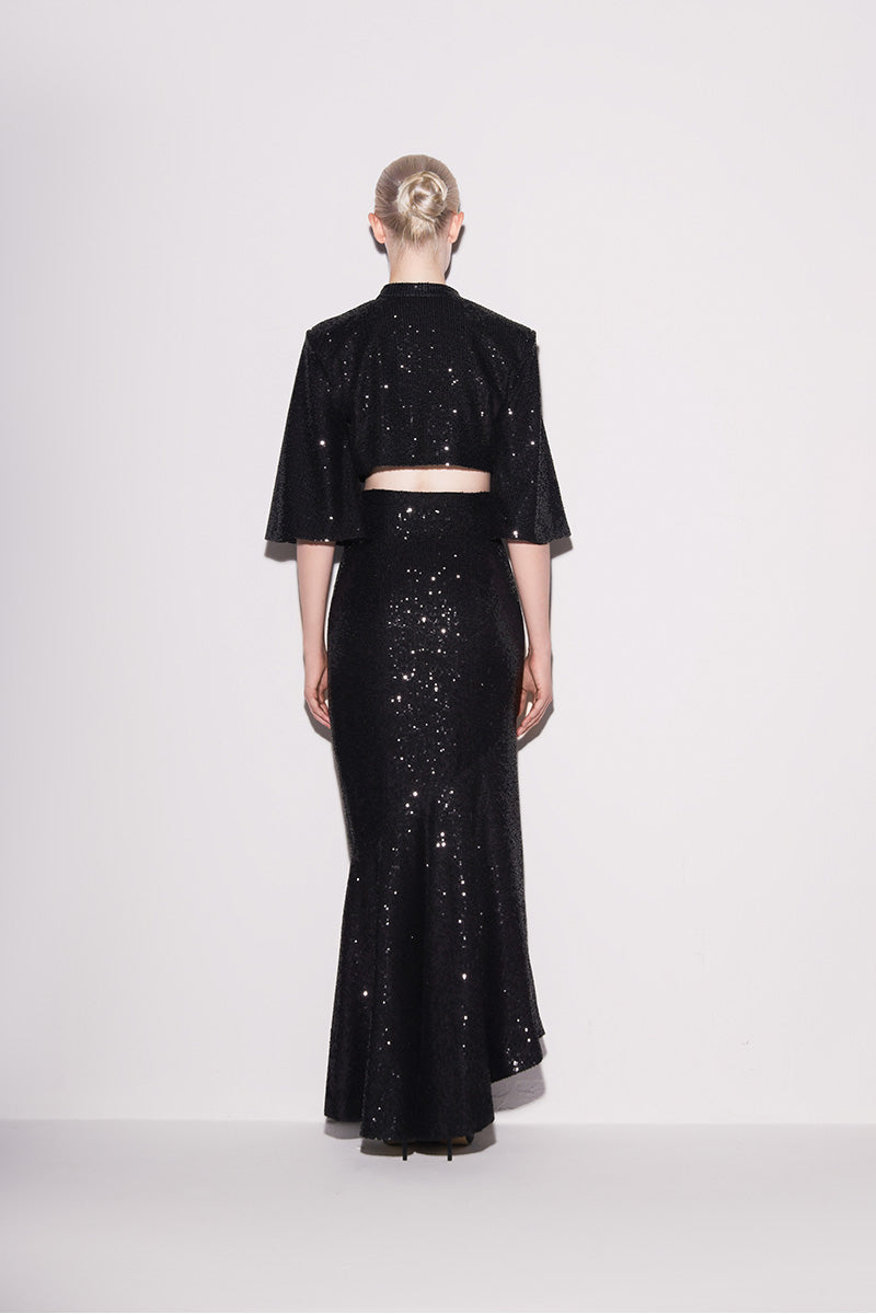 Black sequined cropped top by Lili Blanc, shown from the back with shimmering sparkle and fitted design.