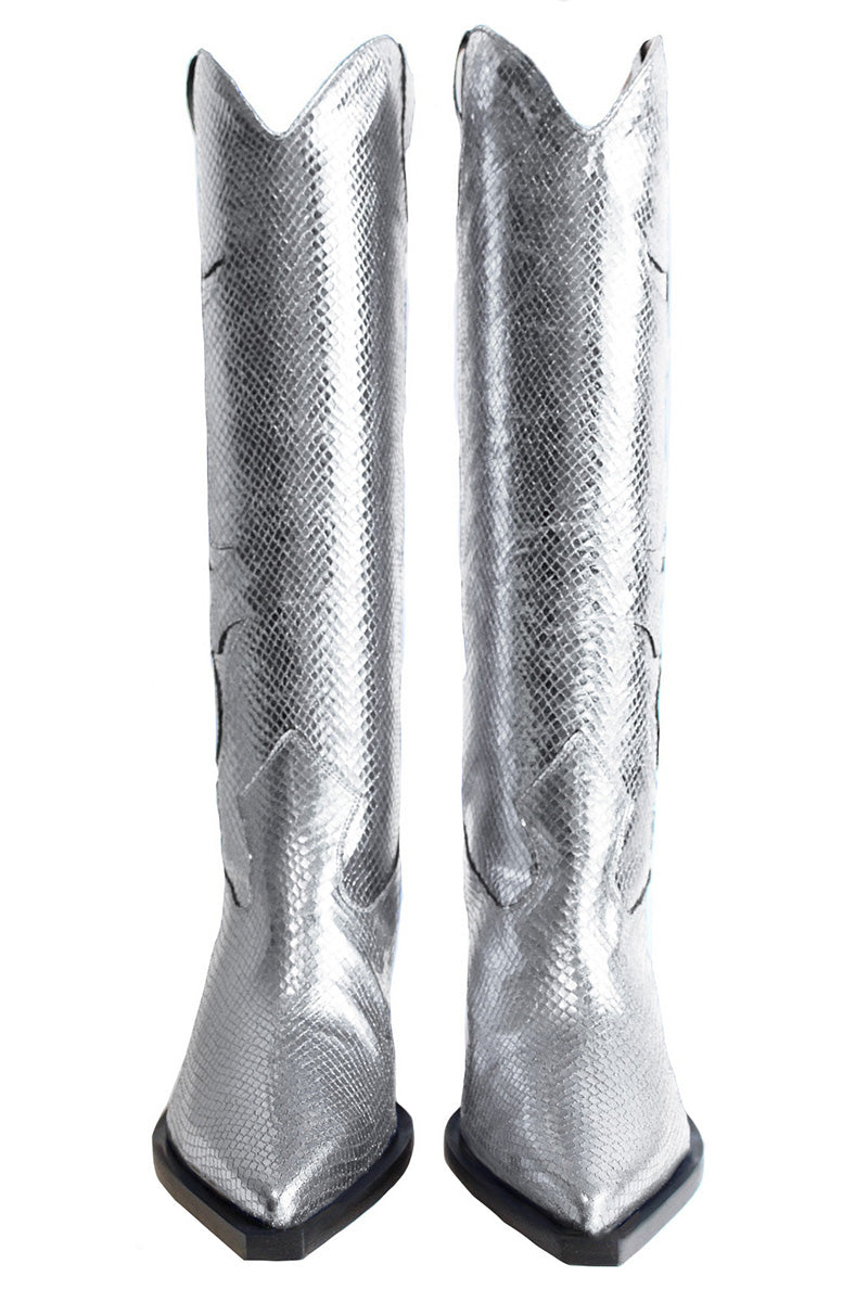 Silver Annie cowboy boots by Terry de Havilland with pointed toes and decorative stitching, displayed on a neutral background.