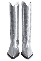 Silver Annie boots by Terry de Havilland featuring a stylish cowboy design and pointed toe, displayed on a neutral background.