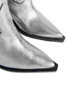 Silver Annie cowboy boots by Terry de Havilland featuring pointed toes and decorative stitching, shown from the front view.