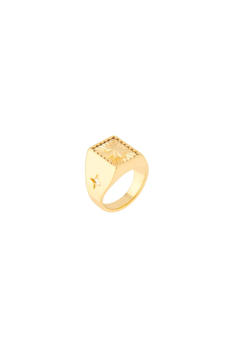 Maria Frering Arena Golden Pinky Ring featuring a sleek gold band designed for pinky finger wear.