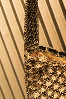 Verdi Arista seashell shoulder bag in antique brass with detailed shell embellishments and a stylish strap.