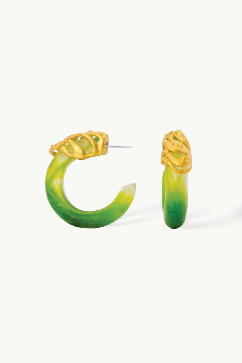 BLISS GOLD HOOPS - CULT MIA