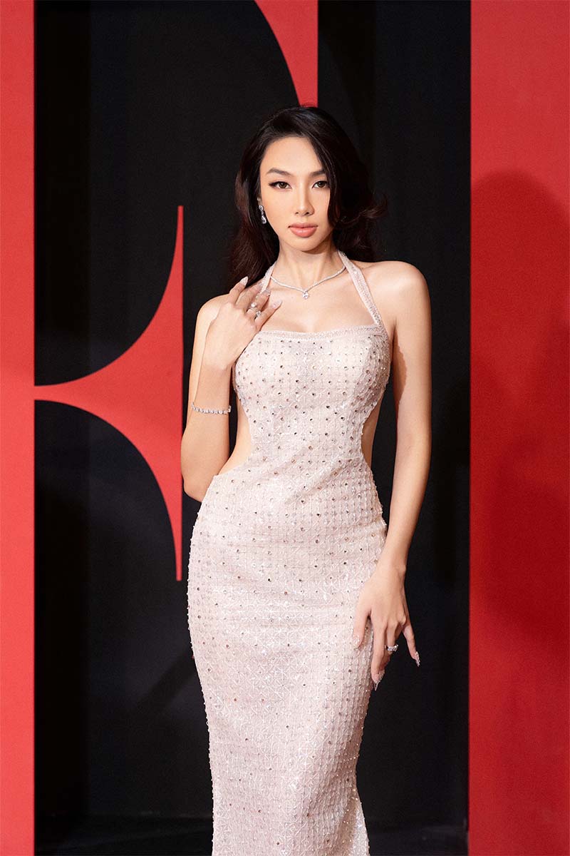 NUDE CRYSTAL GOWN - CULT MIA