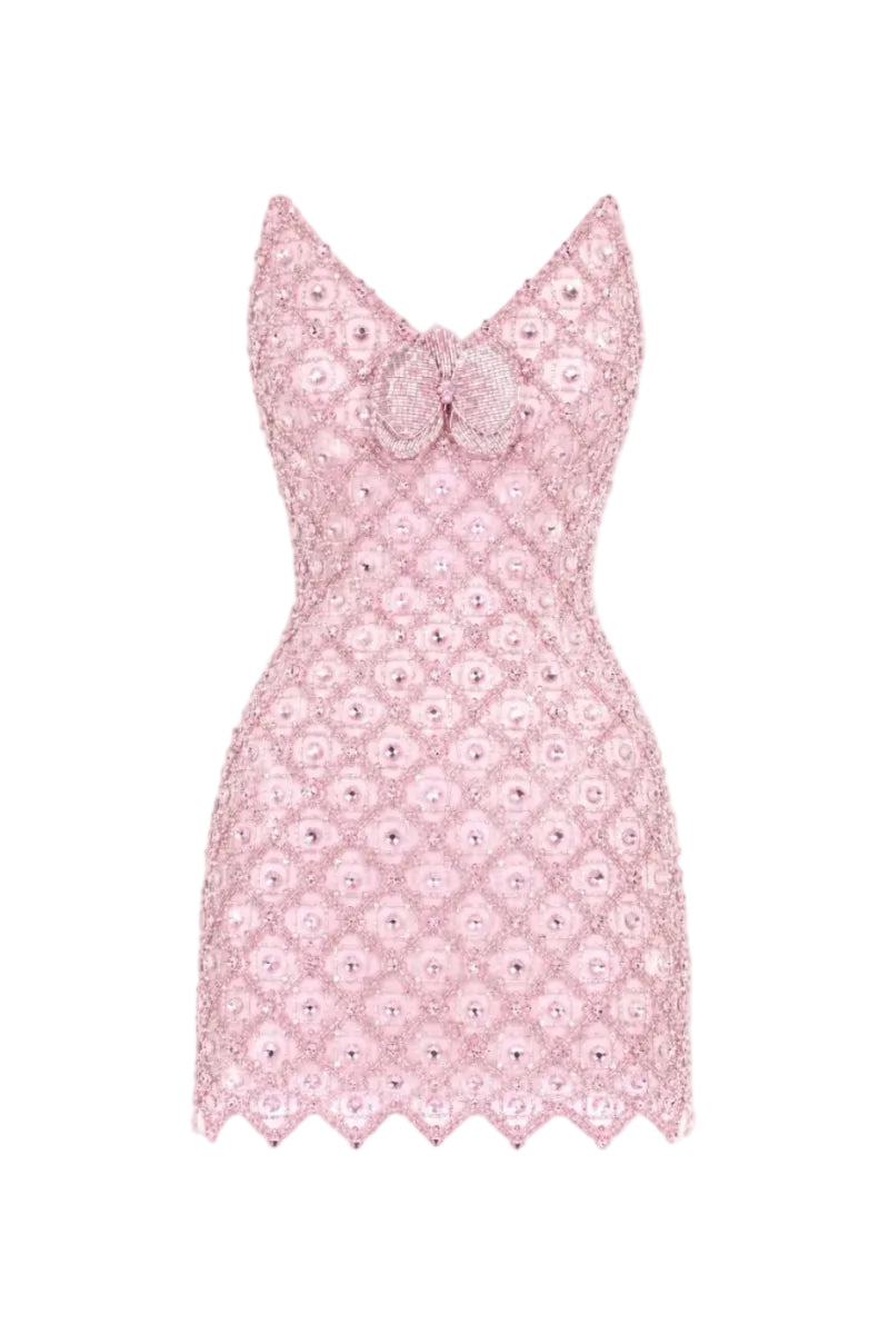BLUSH EMBROIDERED MINI DRESS