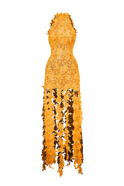 CULT MIA X I.H.F STUDIO FLORAL VINE ORANGE LACE DRESS | CULT MIA