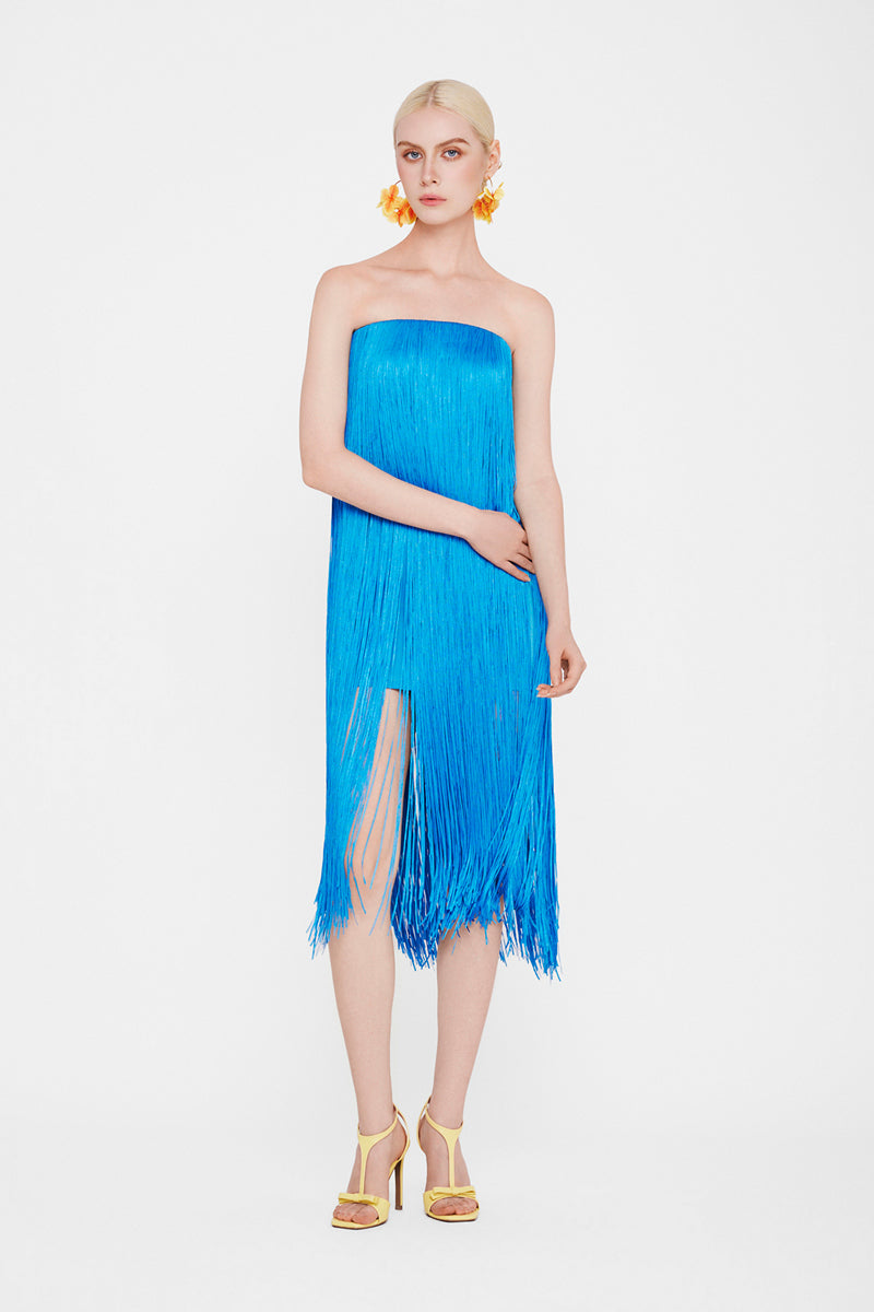Valenciani CULT MIA X VALENCIANI midi dress with all-over fringe design, flowing silhouette, perfect for stylish occasions.
