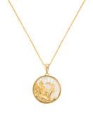 Gold-plated Capricorn zodiac necklace by Freya Rose featuring a detailed Capricorn pendant on a delicate chain.