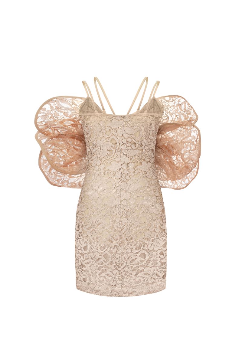 LACE MINI DRESS WITH 3D ROSES DECOR - CULT MIA