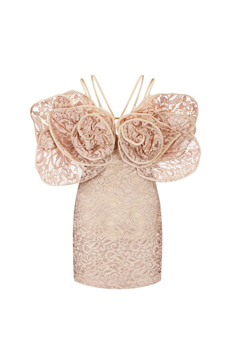 LACE MINI DRESS WITH 3D ROSES DECOR - CULT MIA