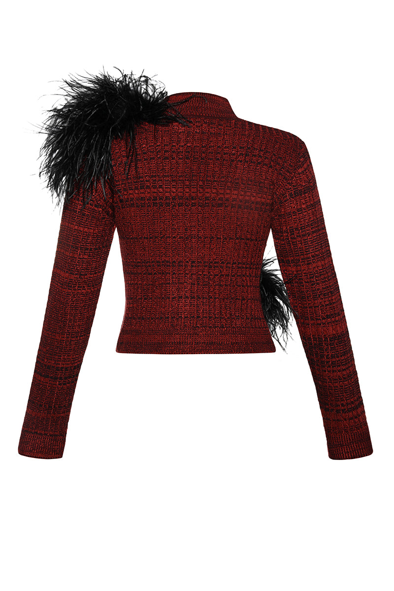 Lalo high neck sweater with multicolor feather details, showcasing a stylish and cozy design with intricate feather accents.