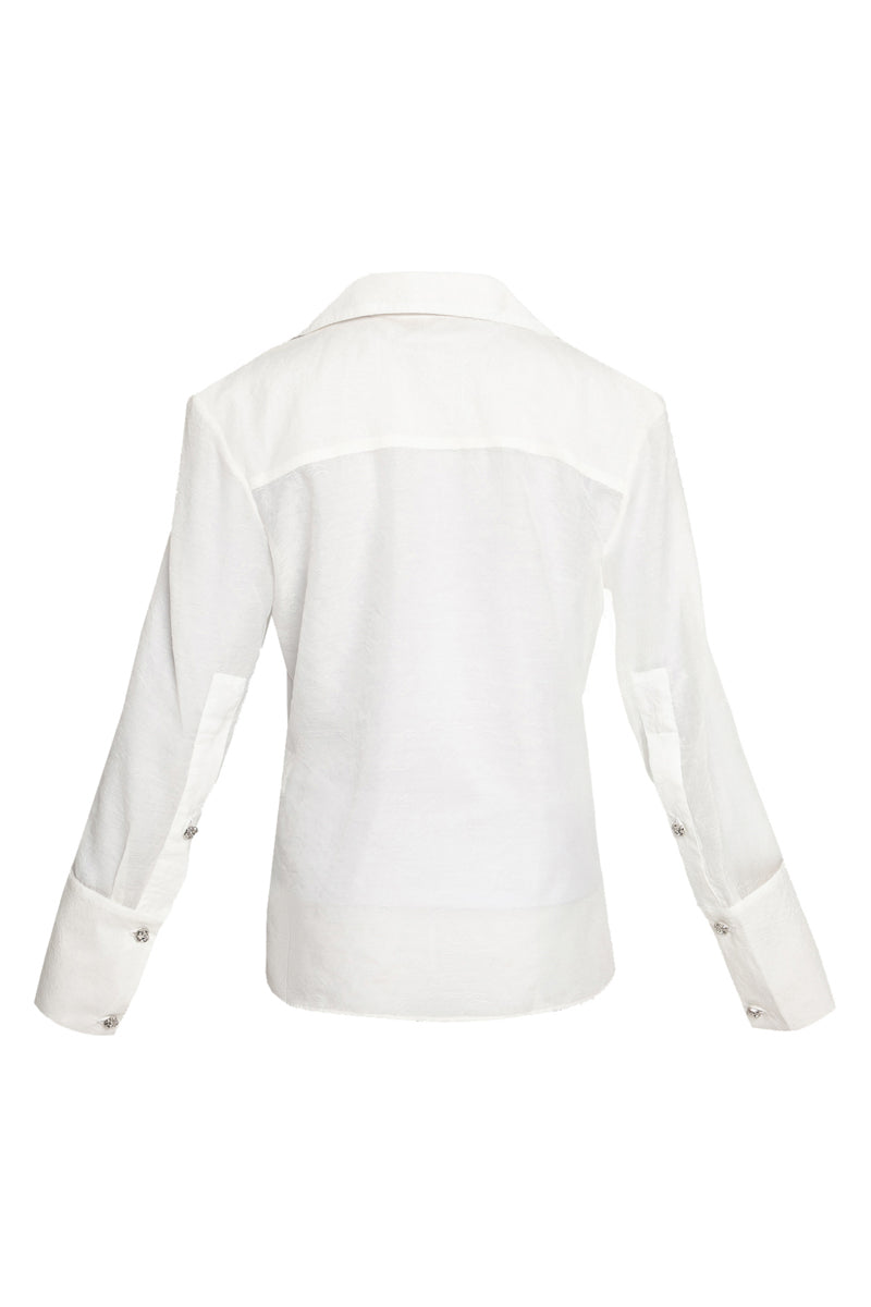 TRANSPARENT TAILORED LOW-CUT SHIRT - CULT MIA
