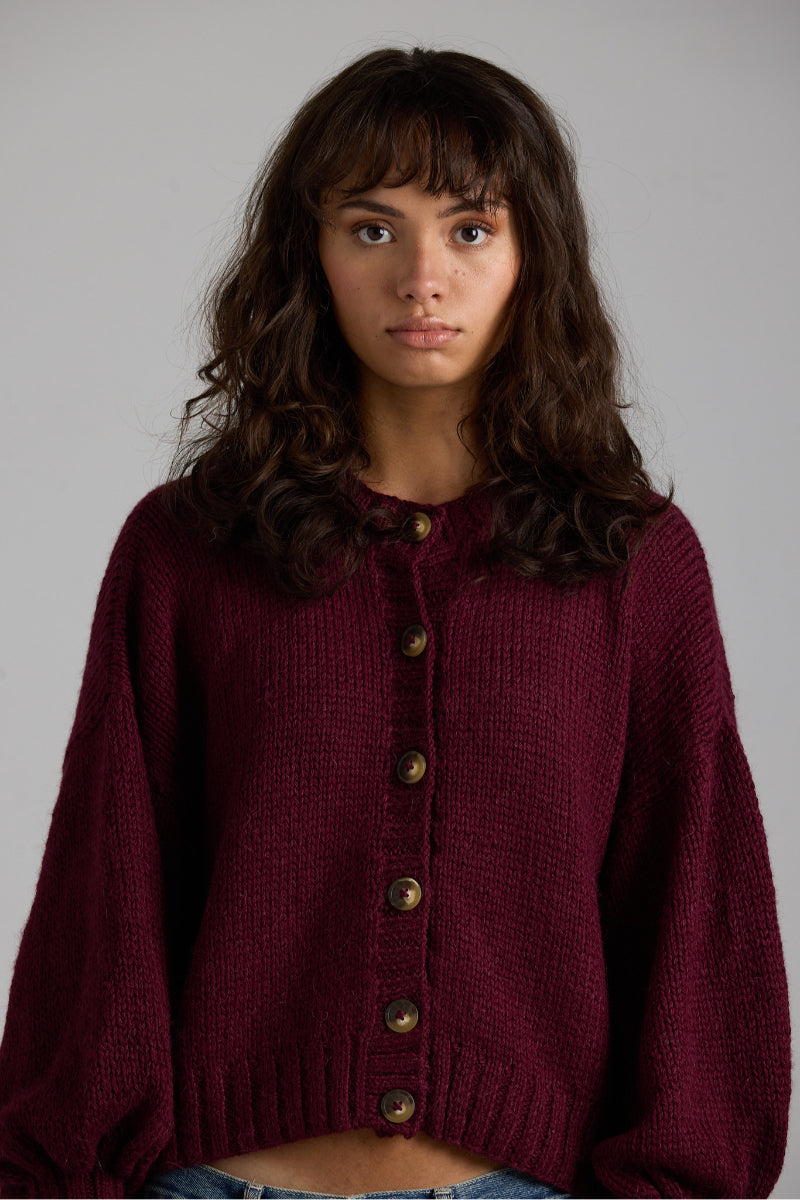 Cream-colored Frenchie cardigan by First Born Knits, featuring a cozy knit design and button closure.