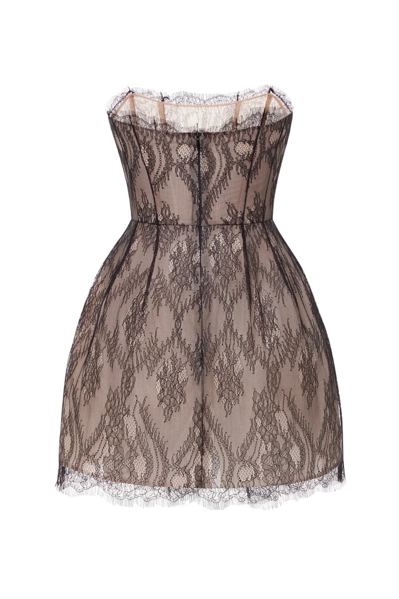 BROWN LACE STRAPLESS MINI DRESS - CULT MIA