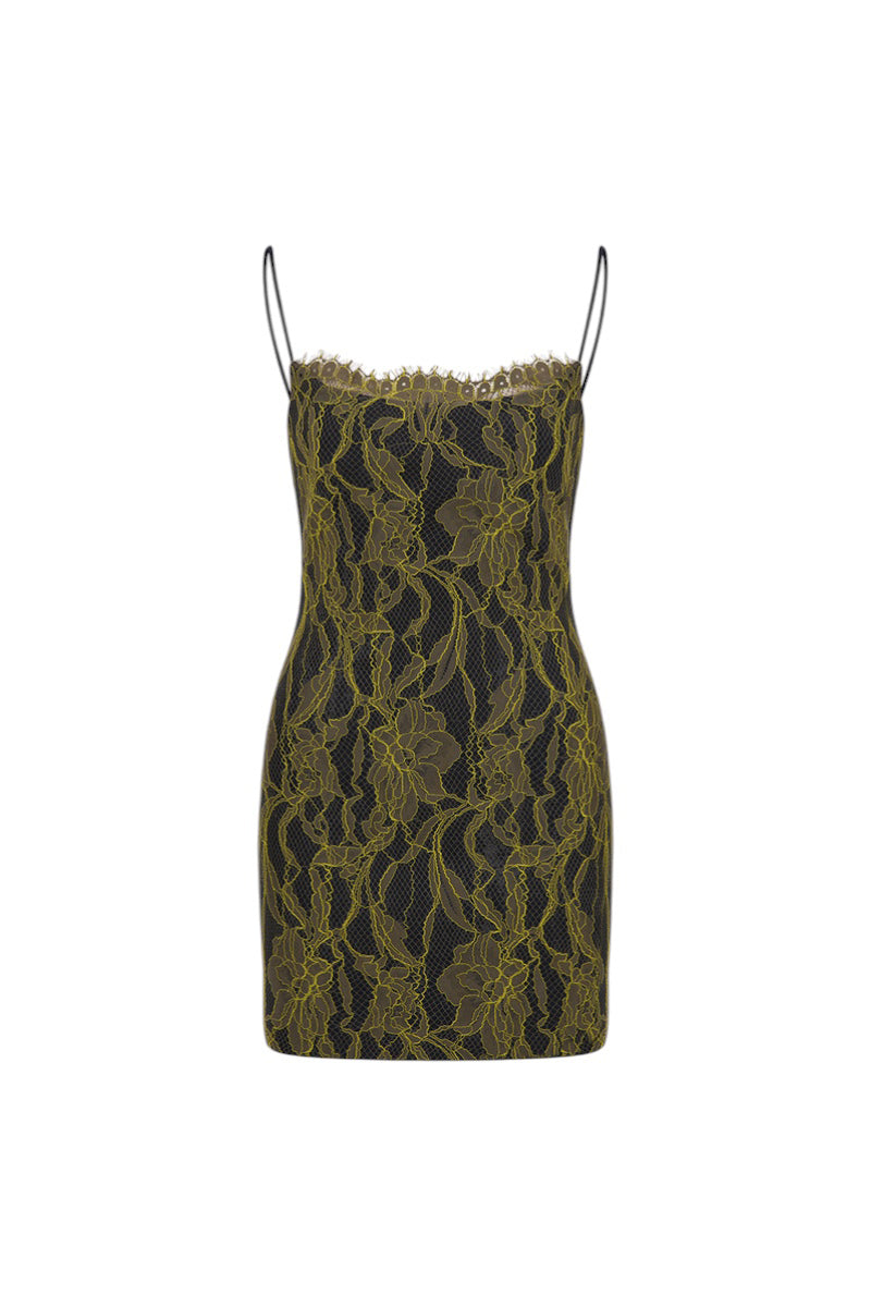 Front view of ILA Jessica Khaki Mini Dress featuring a fitted silhouette and stylish design.