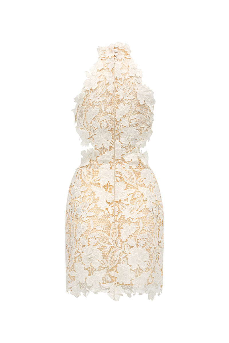 FLORAL GARDEN LACE HALTER MINI DRESS - CULT MIA