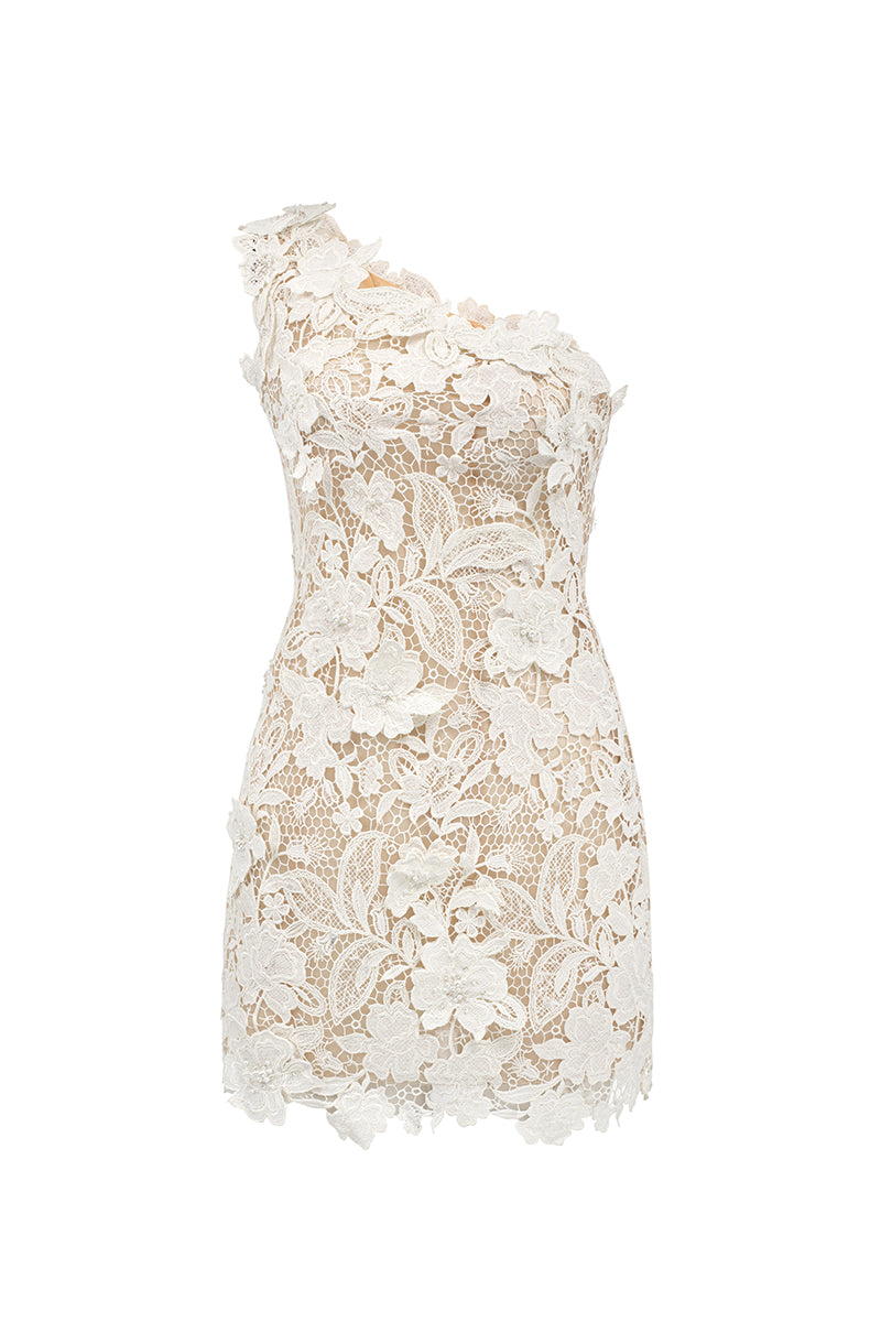 FLORAL GARDEN LACE MINI DRESS