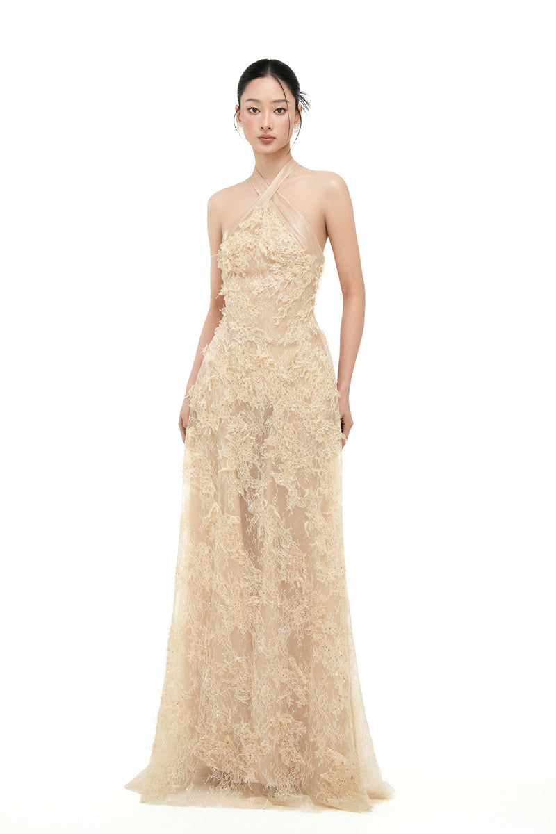 Beige ALISA lace gown by 21Six displayed on a hanger, showcasing intricate lace details and elegant design.