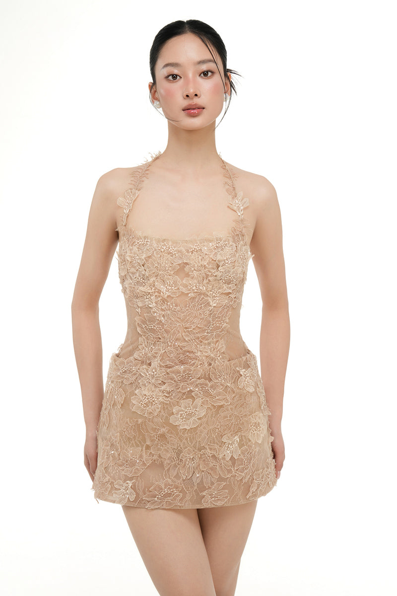 Beige ELISA lace mini dress by 21Six, featuring intricate lace details and a fitted silhouette.