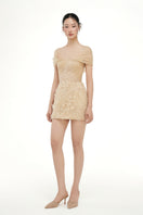Beige Bianca lace mini dress by 21Six, featuring delicate lace fabric and a fitted silhouette.
