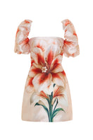 Nana Gotti KALYA MINI DRESS in vibrant fabric, fitted silhouette, with short sleeves and stylish design, displayed on a hanger.