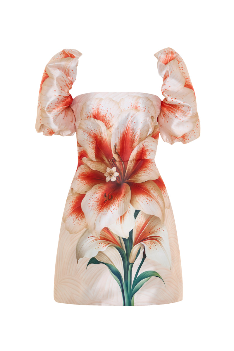 Nana Gotti KALYA MINI DRESS in vibrant fabric, fitted silhouette, with short sleeves and stylish design, displayed on a hanger.